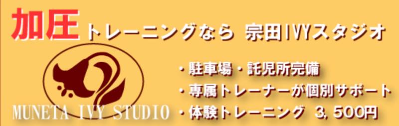 宗田IVYスタジオ（むねたアイヴィースタジオ）のジム画像1